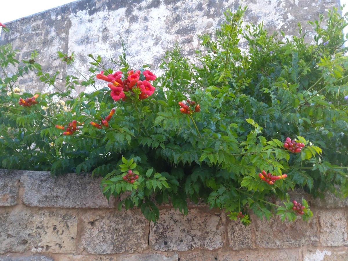 Casetta Vacanza In Campagna Aradeo Exterior photo