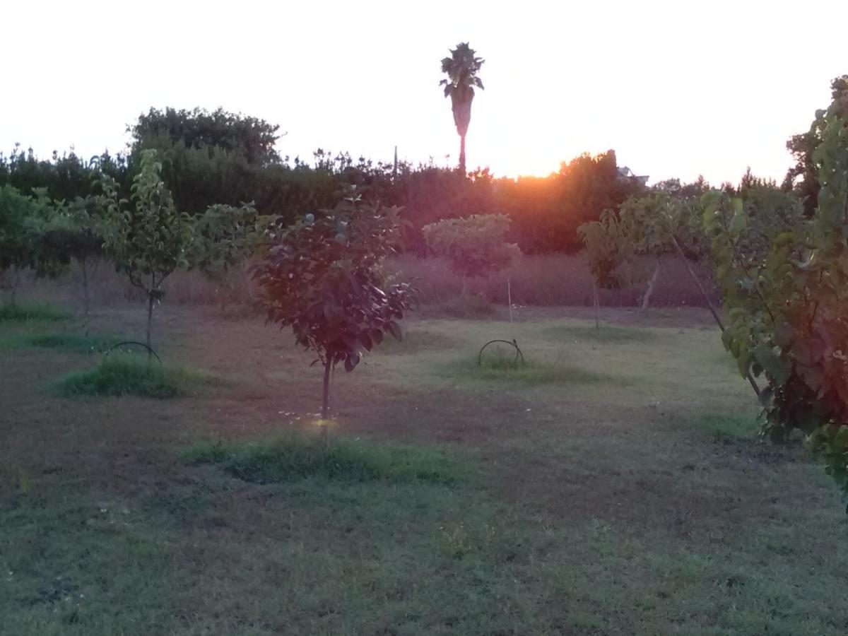 Casetta Vacanza In Campagna Aradeo Exterior photo
