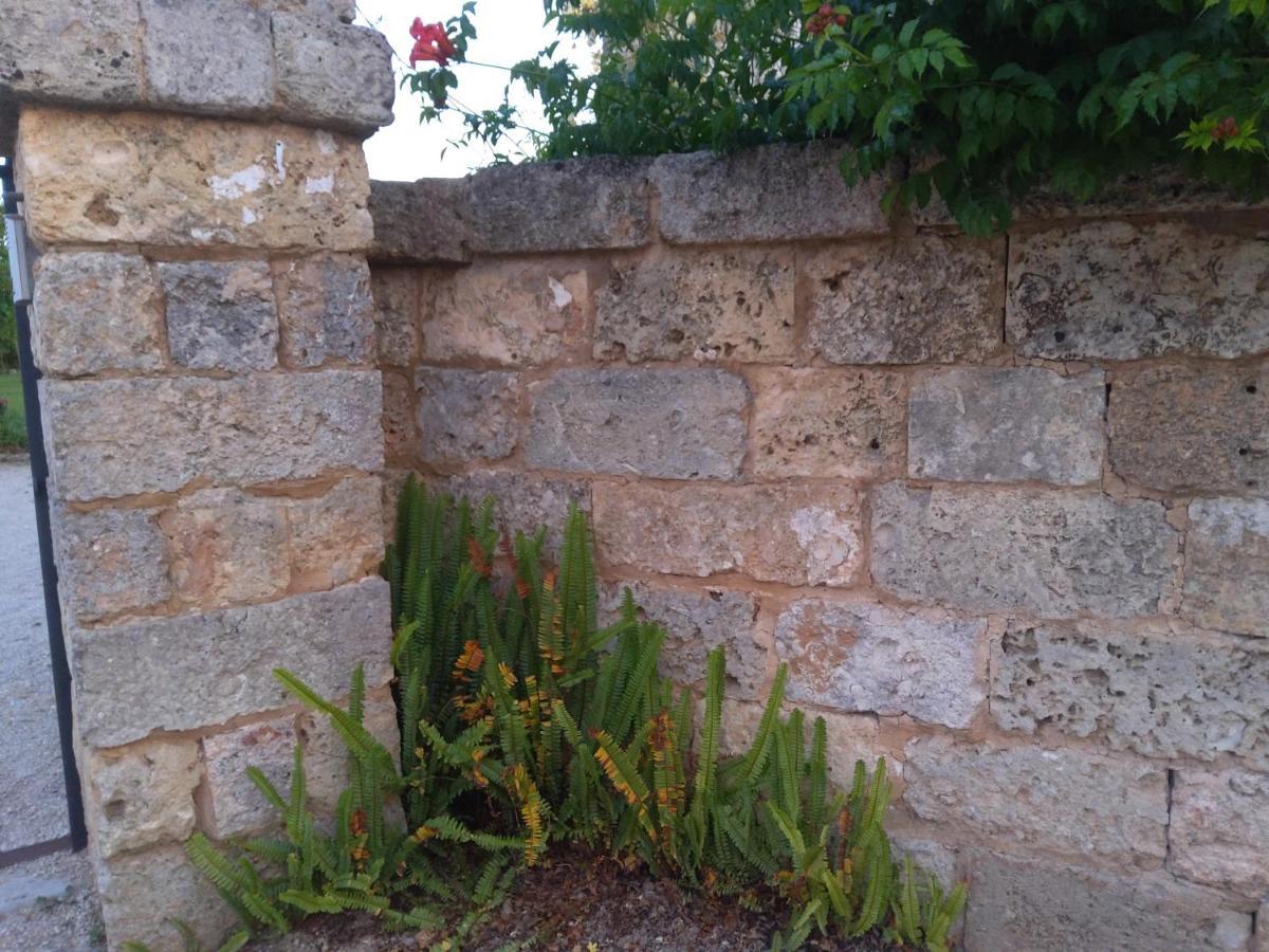 Casetta Vacanza In Campagna Aradeo Exterior photo