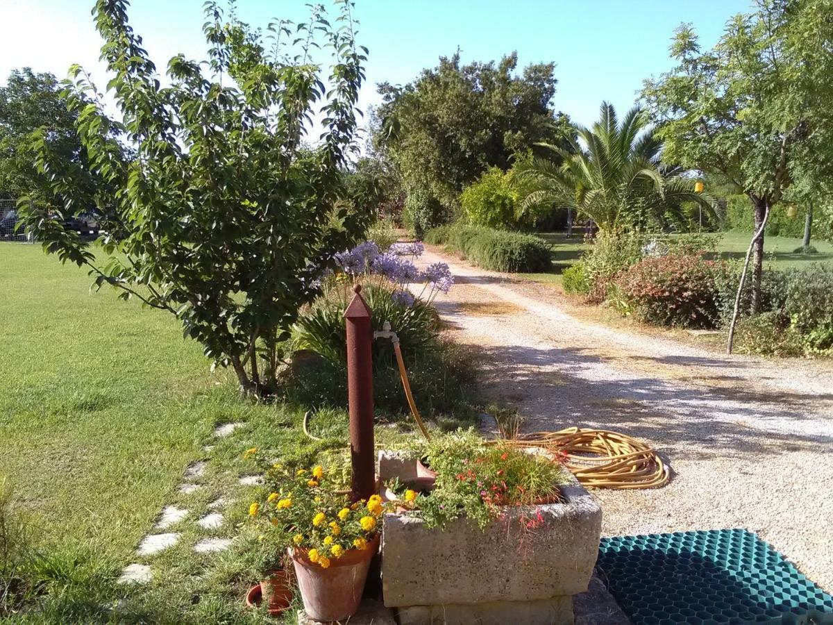 Casetta Vacanza In Campagna Aradeo Exterior photo