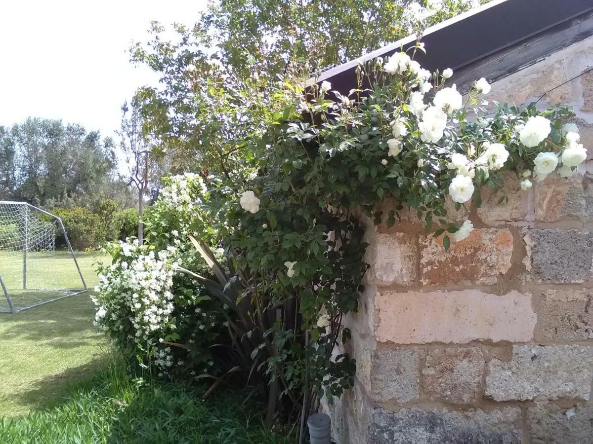 Casetta Vacanza In Campagna Aradeo Exterior photo