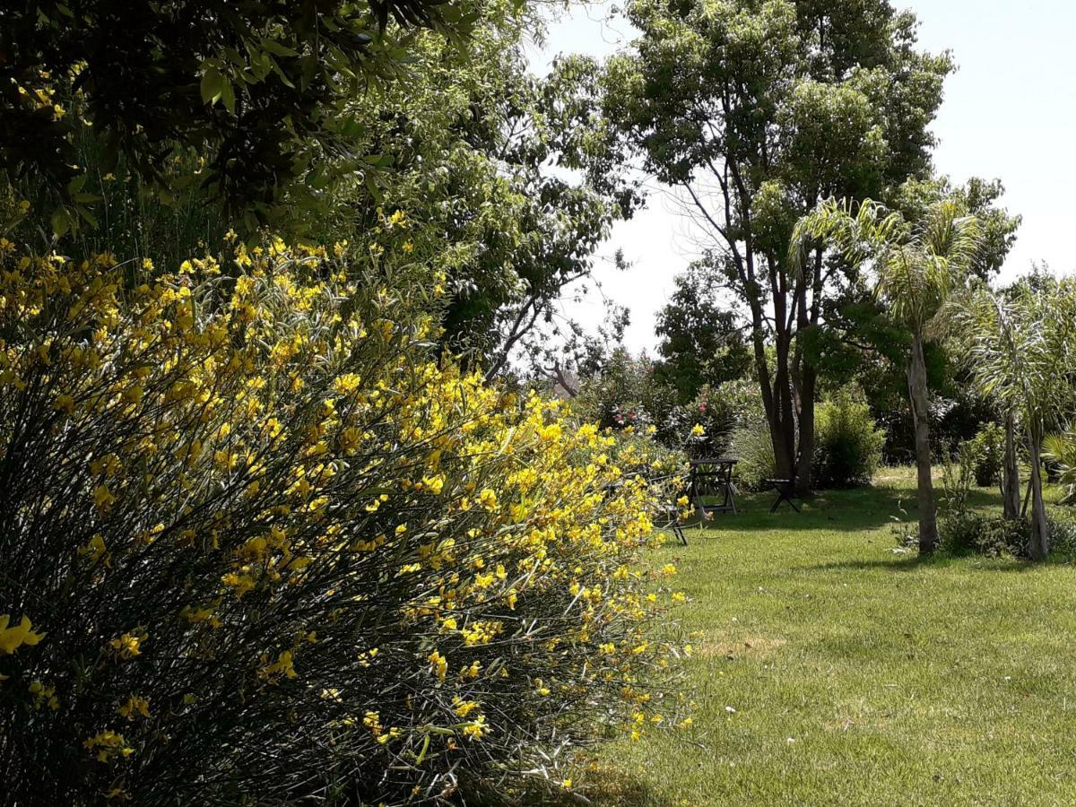 Casetta Vacanza In Campagna Aradeo Exterior photo